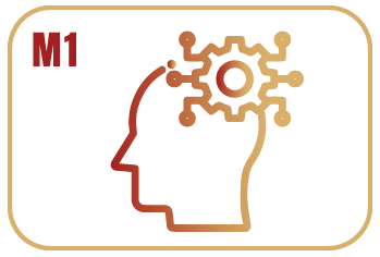 M1- Formador: Sistema, Contextos e Perfil